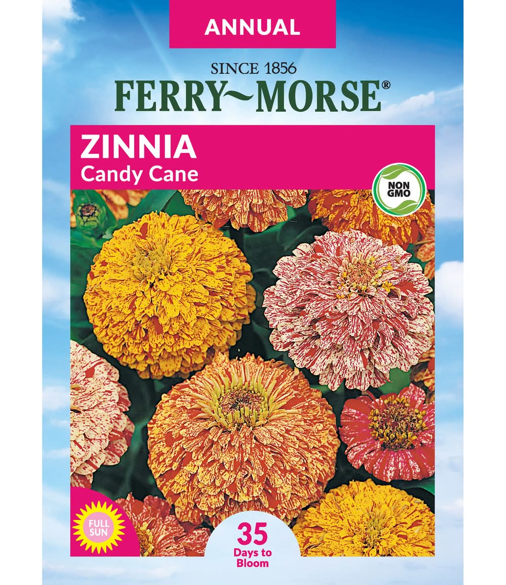 Ferry-Morse Zinnia Seeds 500 Milligram(s)