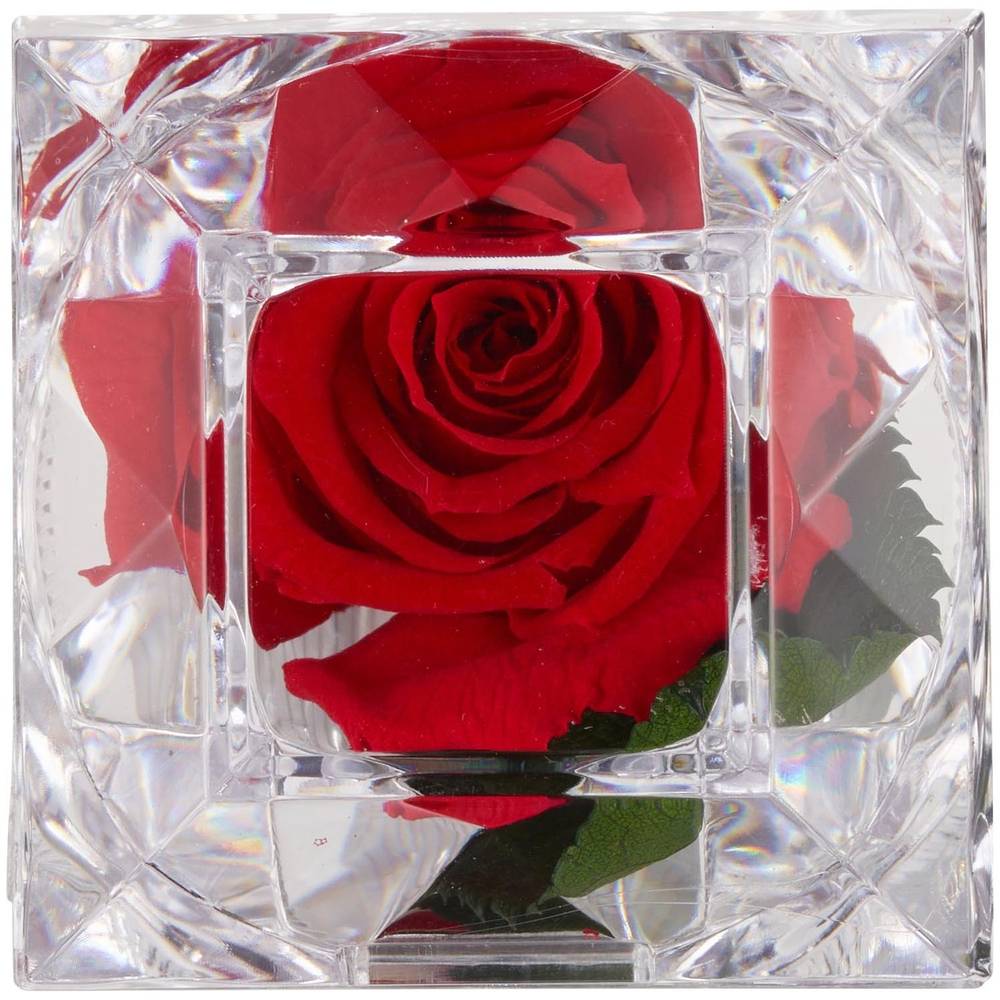 Preserved Rose Bloom In Ring Box
