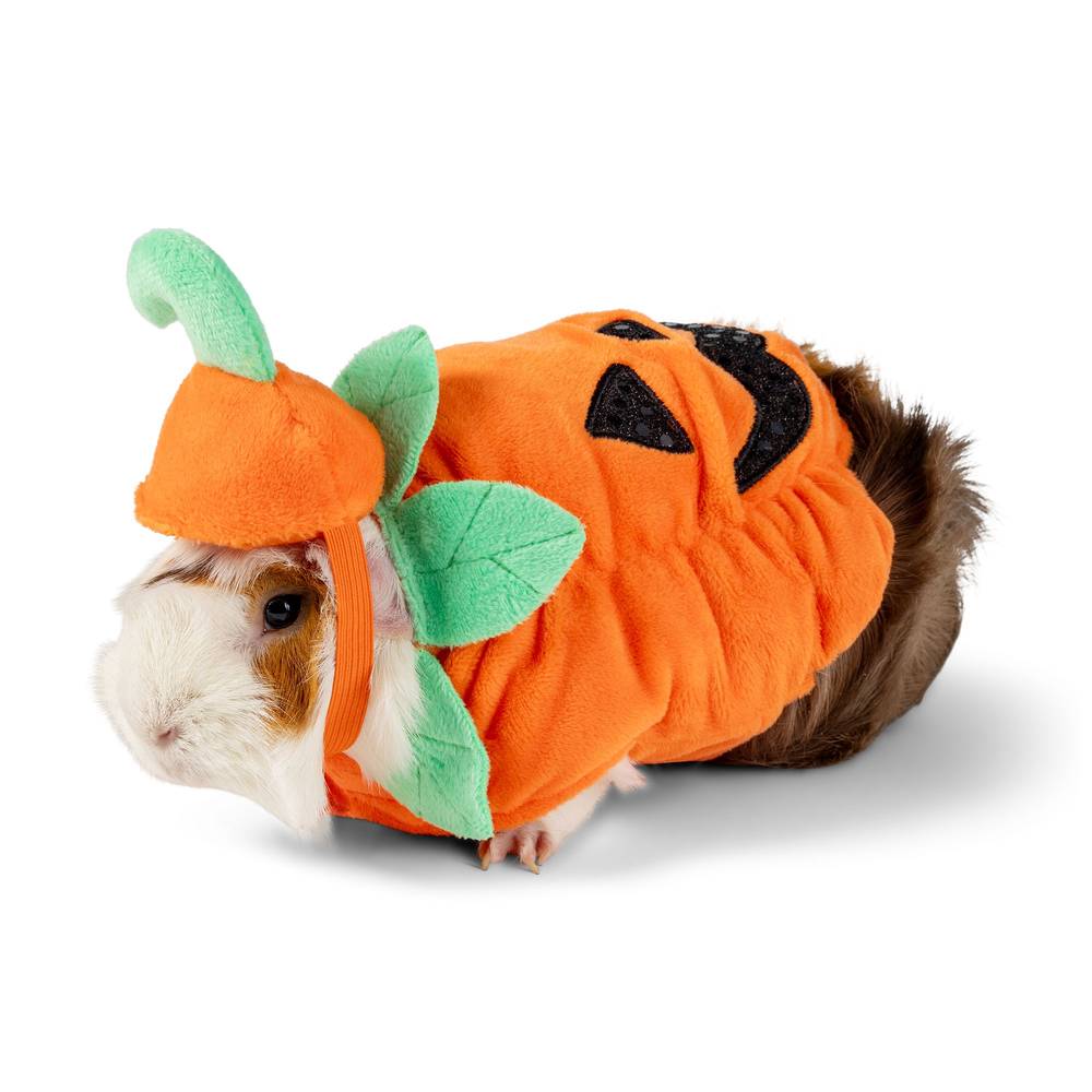 PET HALLOWEEN Thrills & Chills Pumpkin Small Pet Costume, Multi-Color