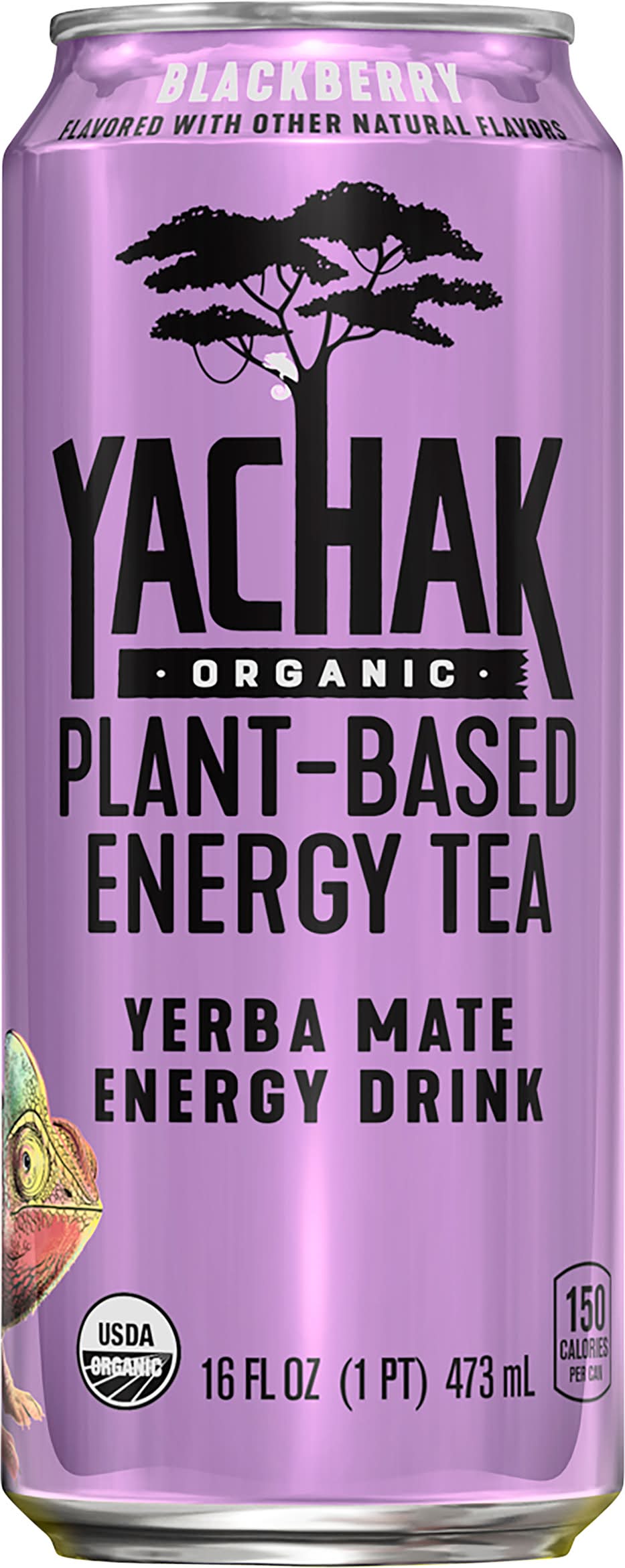 Yachak Organic Yerba Mate Energy Drink, Blackberry (16 fl oz)