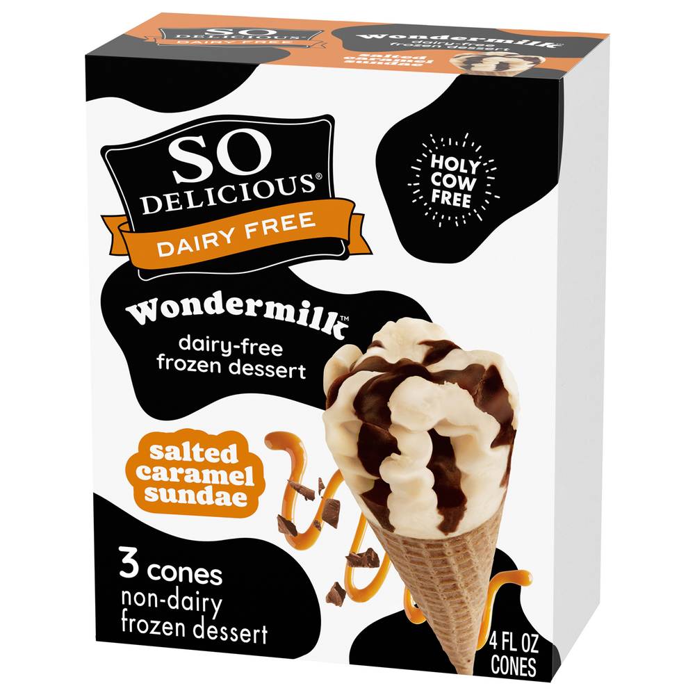 So Delicious Dairy Free Salted Caramel Frozen Dessert (12.5 oz)