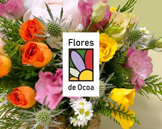 Flores de Ocoa (Los Trapenses)