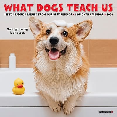 2026 Willow Creek What Dogs Teach Us 7 x 7 Monthly Wall Calendar (53836X)