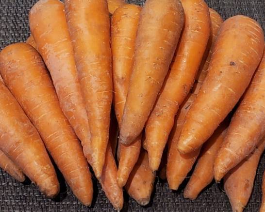 有機胡蘿蔔(大) Organic Carrot(Large)