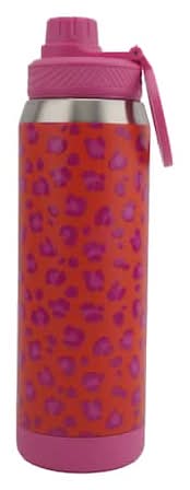 25Oz. Stainless Steel Insulated Sports Bottle By Ashland