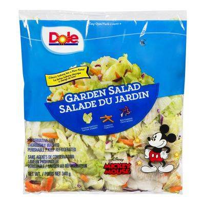Dole · Iceberg classique (340 g) - Garden salad (340 g)