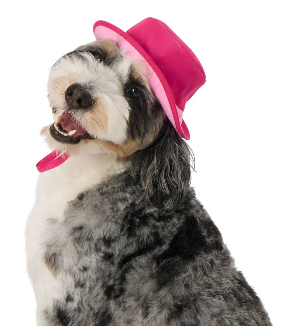 Top Paw® Summer Bucket Hat (Color: Pink, Size: Small/Medium)