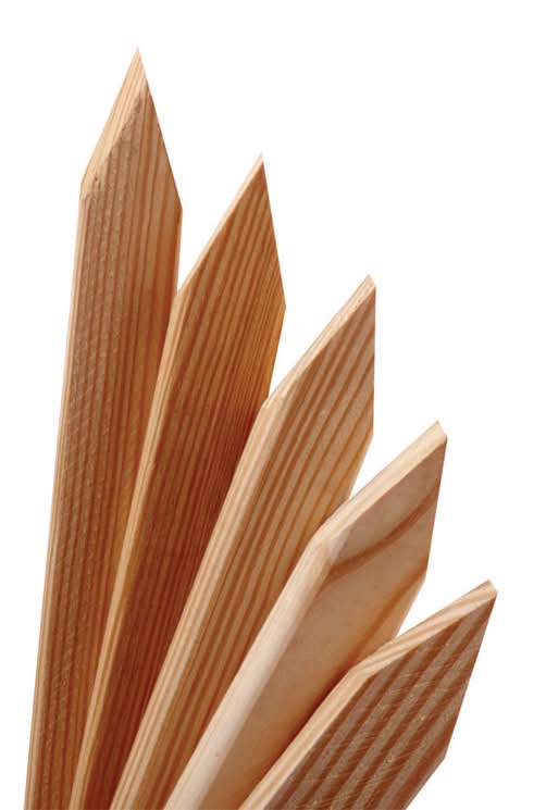 Universal Forest 1 In. X 2 In. W X 18 In. H Wood Grade Stake 1 Pk