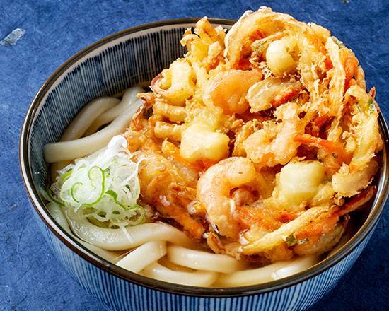 さぬき かき揚げかけうどん Sanuki Udon Noodle Soup with Mixed Tempura
