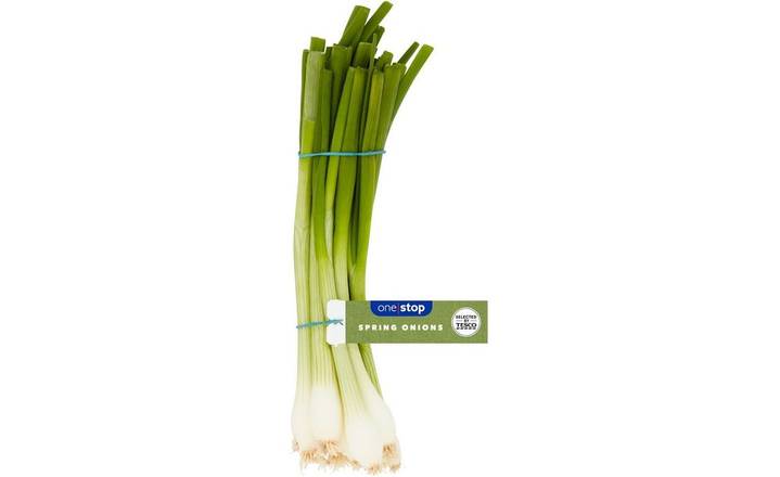 One Stop Spring Onions bunch (392679) 