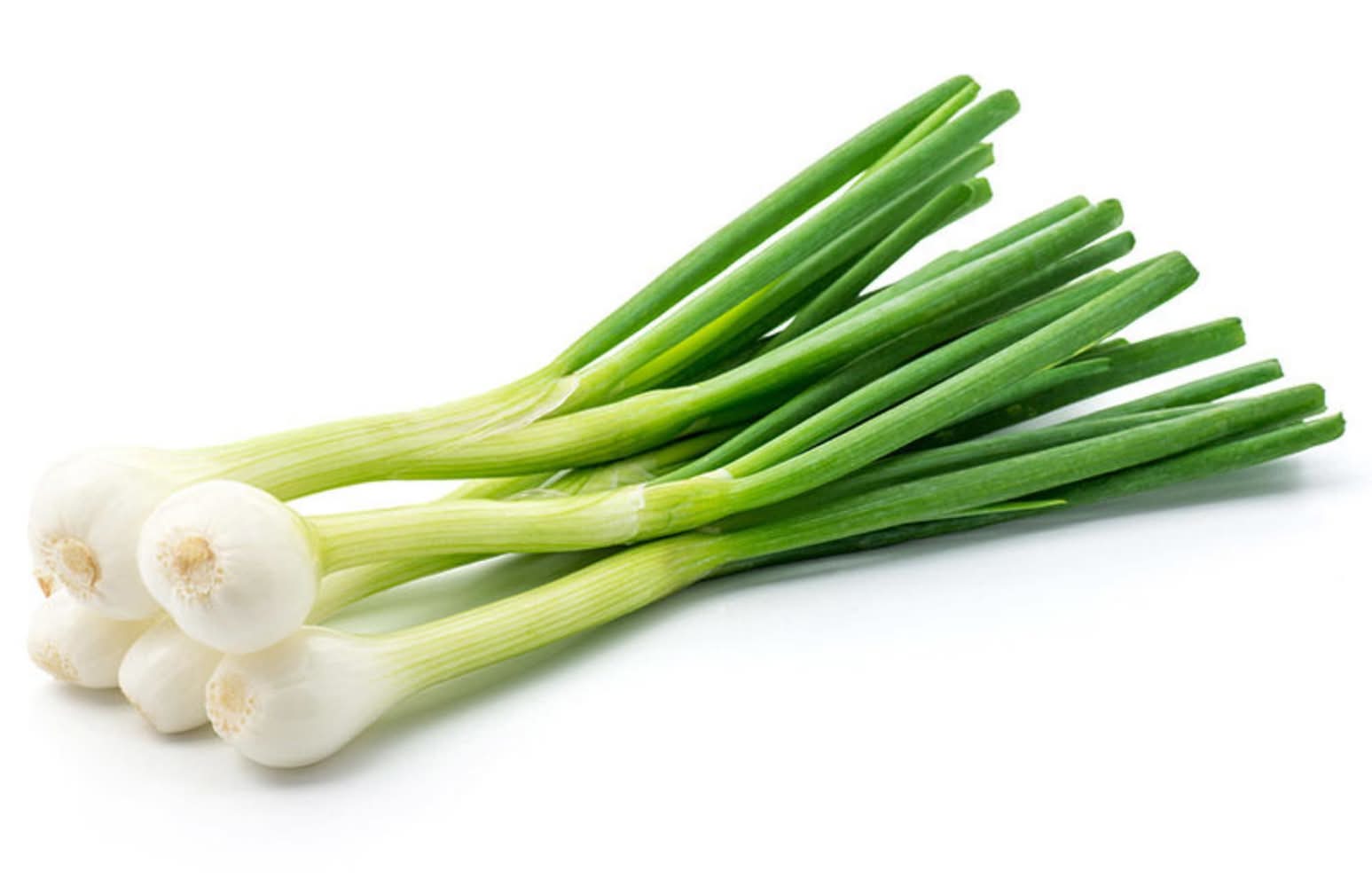 Cebollín (3 un)