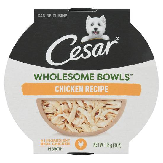 Cesar Wholesome Bowls Chicken Recipe Wet Dog Food (3 oz)