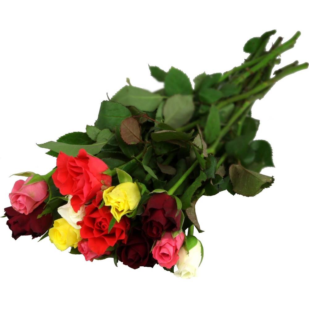 Fleurs roses Arlequin 40 cm CARREFOUR - l'unité