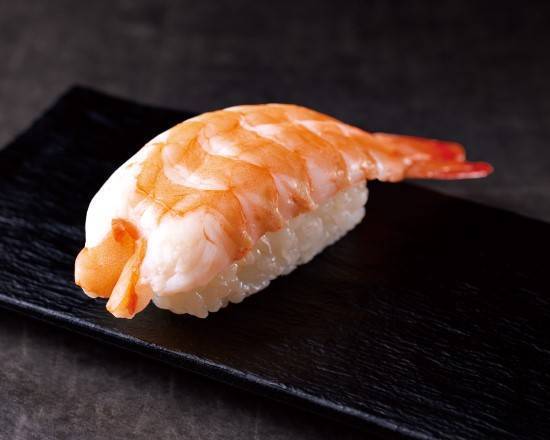 エビ【 V2051 】 Shrimp