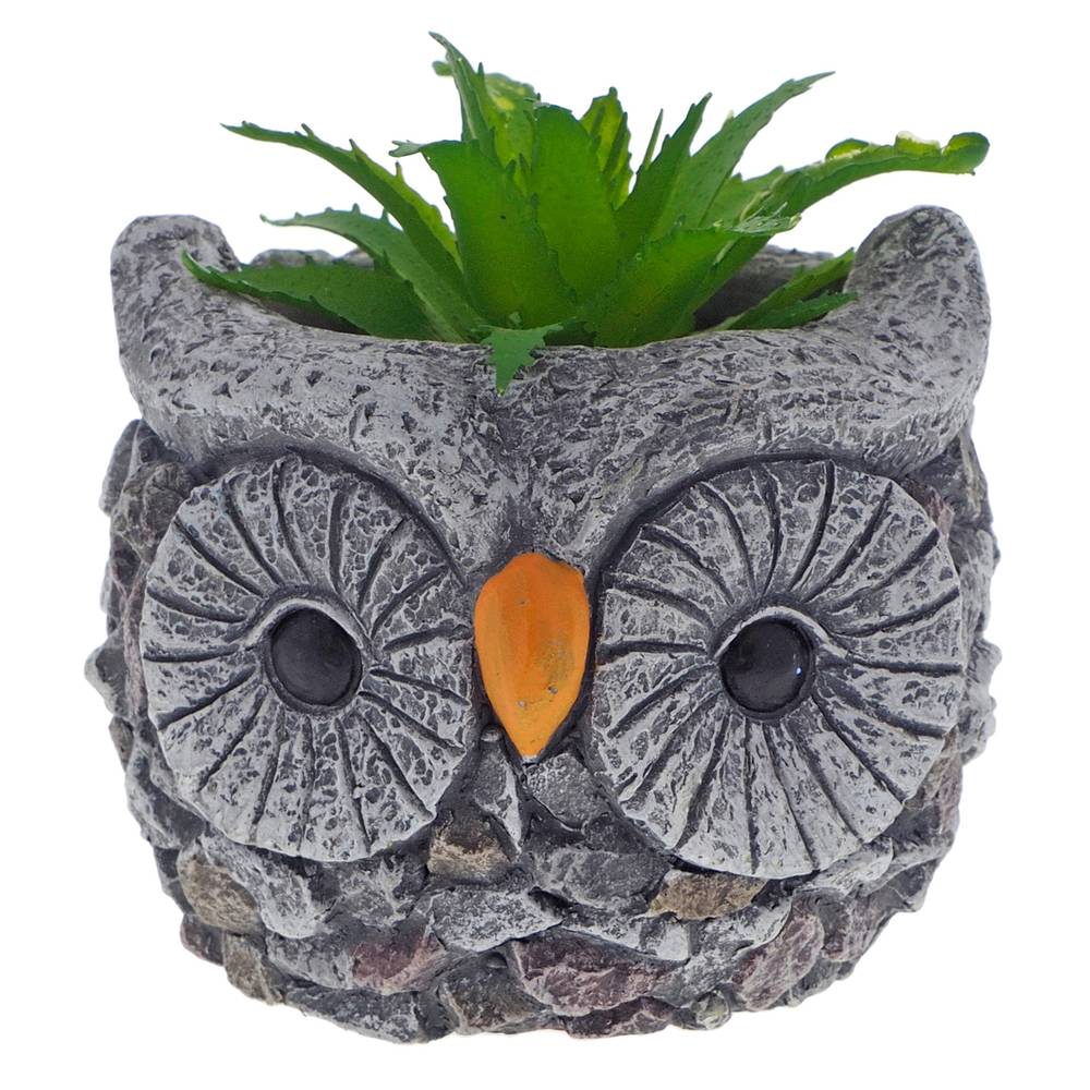 Succulent Plant In A Cement Pot