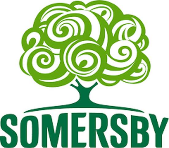 Somersby Cider - Single