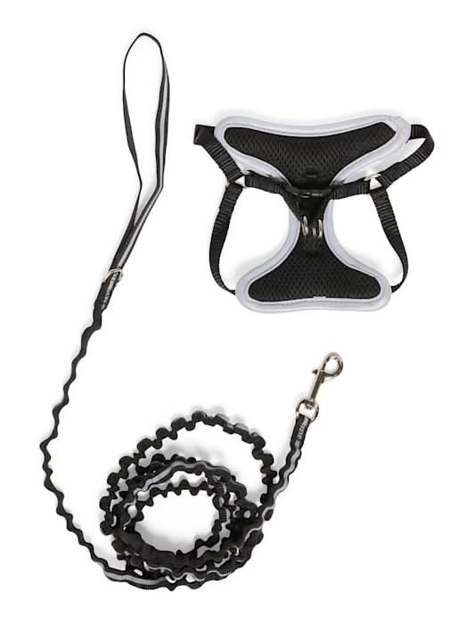 YOULY Reflective Utility Kitten Harness, X-Small