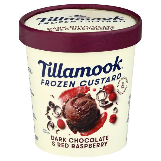 Tillamook Dark Chocolate & Red Raspberry Frozen Custard (15 fl oz)
