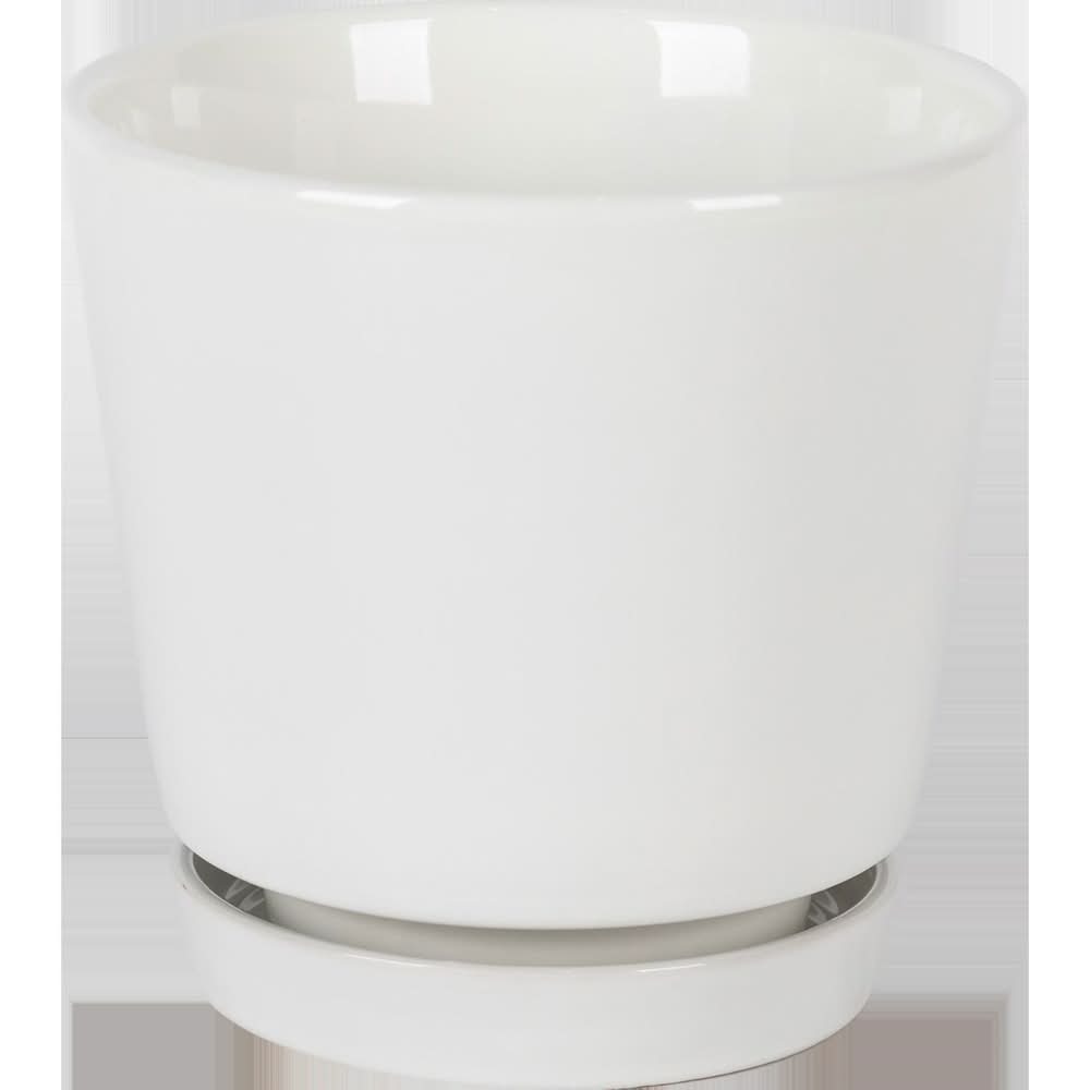 Border Concepts 10 In. D Ceramic Flair Saucer Planter White