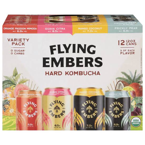 Flying Embers Hard Kombucha Variety pack (12 ct , 12 oz)
