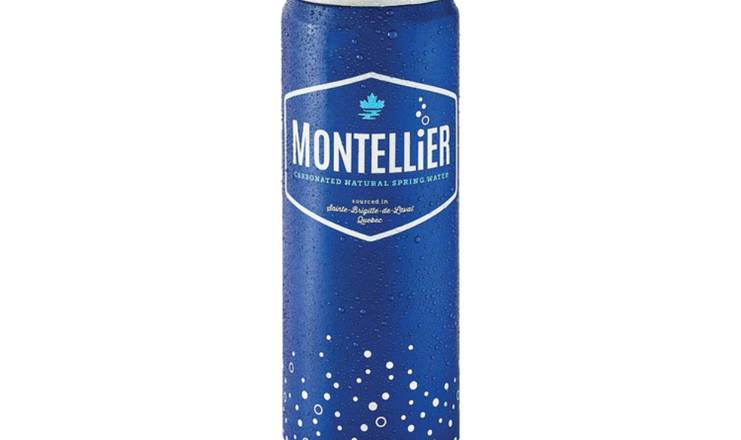 Eau pétillante Montellier® / Montellier® Sparking Water