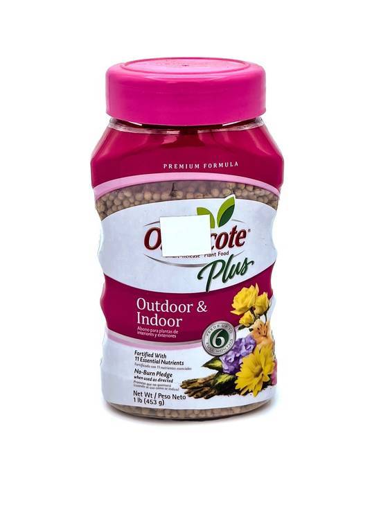 Osmocote Plant Food - Indoor & Outdoor (1 lb)