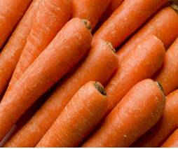 Jumbo Carrots - 50 lbs (1 Unit per Case)