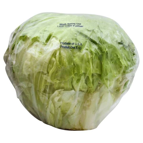 Iceberg Lettuce