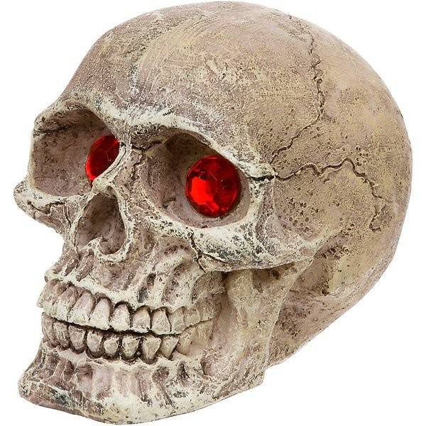 Penn-Plax Skull Grazer Aquarium Ornament