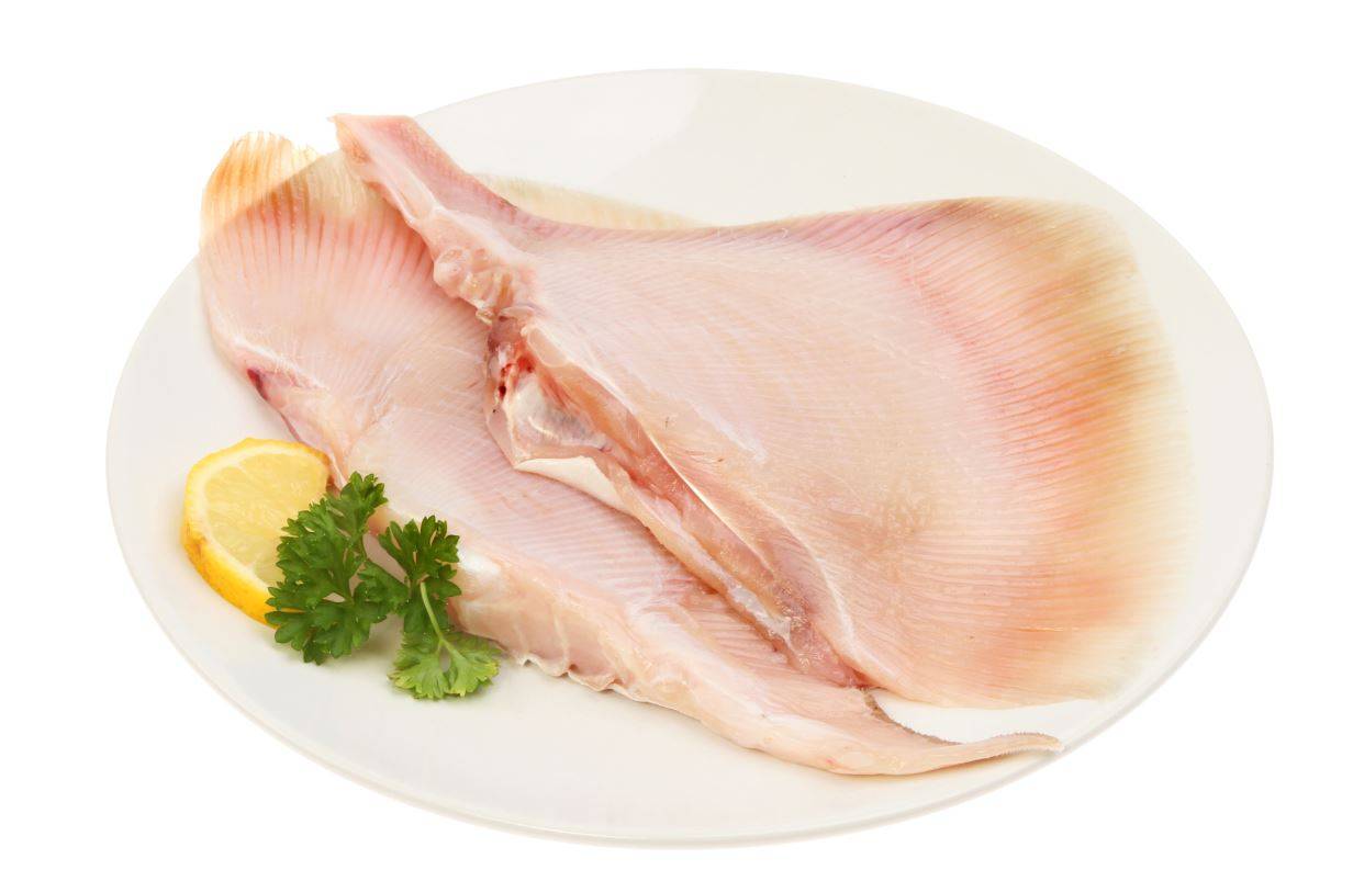 Fresh Skate Fillet, wild caught (6 Units)