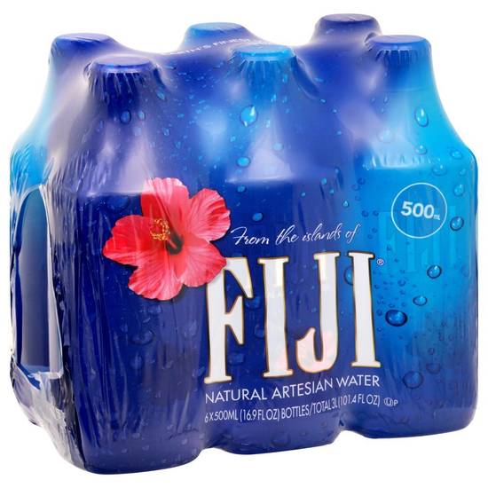 Fiji · Artesian Water Natural (6 x 16.9 fl oz)