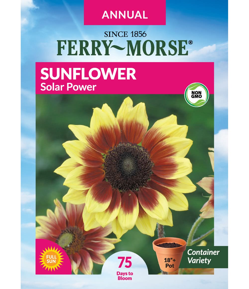 Ferry-Morse Sunflower Seeds 1 Gram(s)