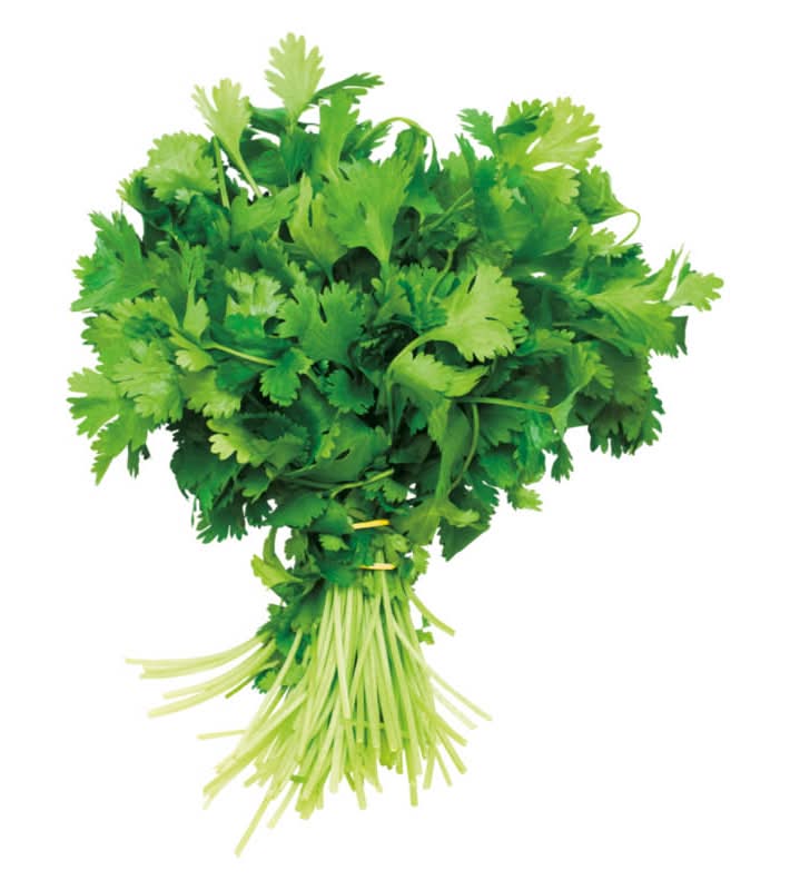 Cilantro Bunch, each