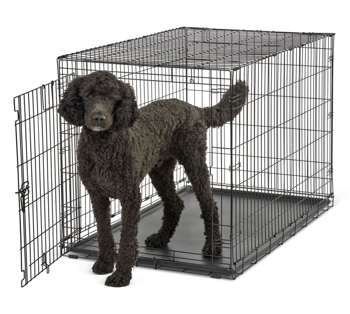 Essentials Single Door Wire Pet Crate, 48 in