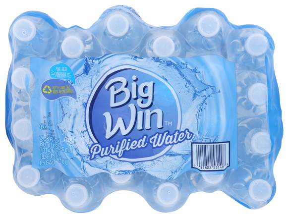 Order Big Win Purified Water (8 oz x 24 ct) food online from Rite Aid store, Shawnee on bringmethat.com