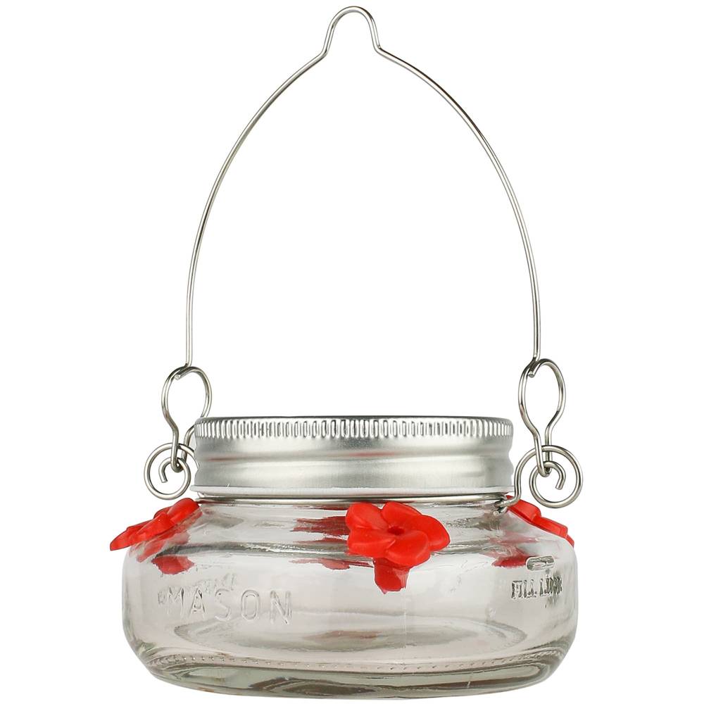 Wild Wings Glass Hanging Nectar Hummingbird Feeder- 6-oz | WWMJF1-WW