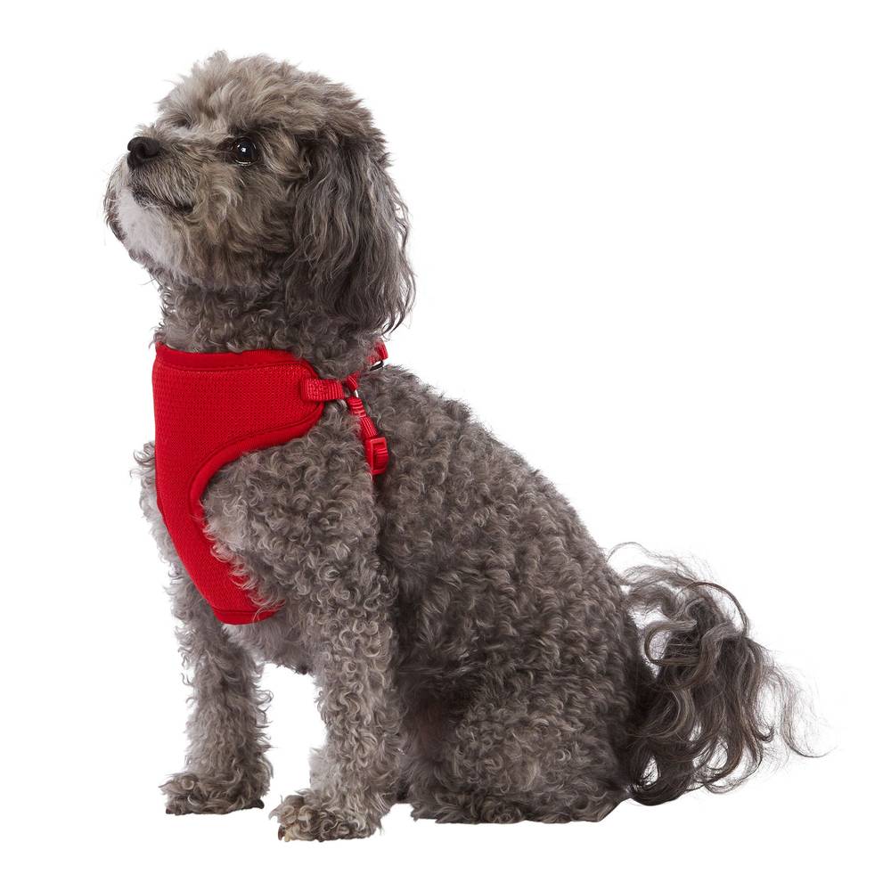 Top Paw® Mesh Comfort Dog Harness (Color: Red, Size: 2X Small)