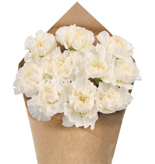 Carnation Bunch - White
