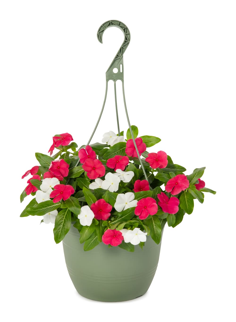 Lowe's 1.5 Gallon(s) Multicolor Vinca Hanging Basket 1 -Pack