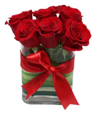 Ava Debi Lilly Mini Modern Design, Red