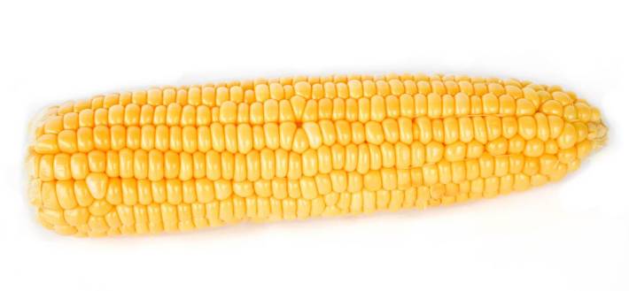 Corn, yellow or bi-colored, 42 lbs, 42-48 ct (1 Unit per Case)