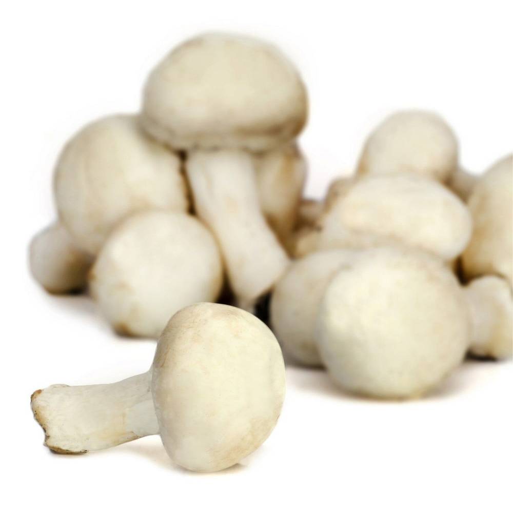 Champignons blancs - la barquette de 200g