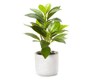 Artificial Plant in Gray Cement Pot