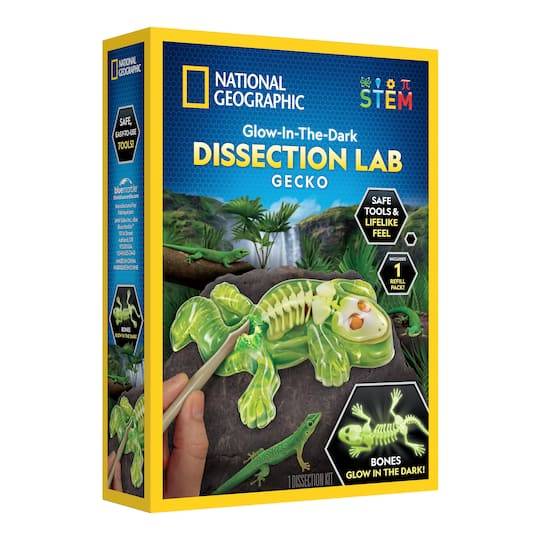 National Geographic Glow-In-The-Dark Gecko Dissection Lab