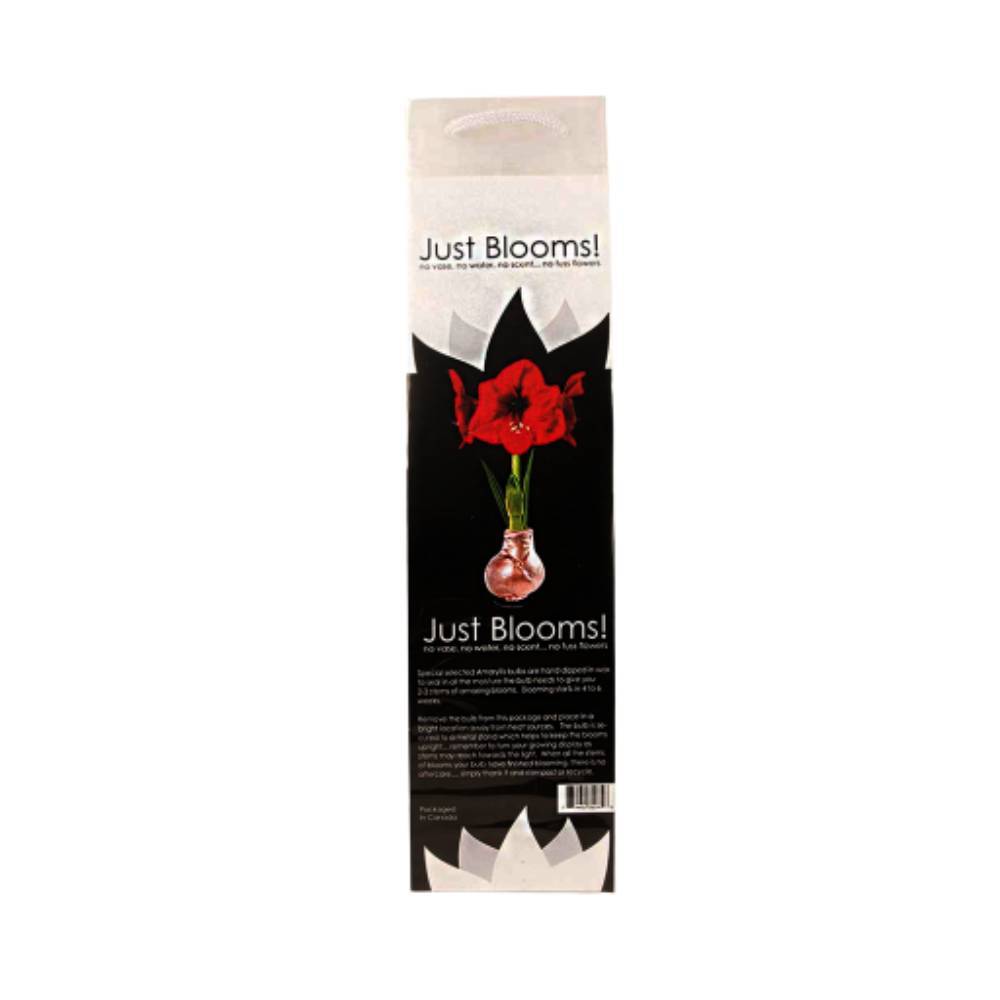 Just Blooms! Amaryllis Wax Wine Bag