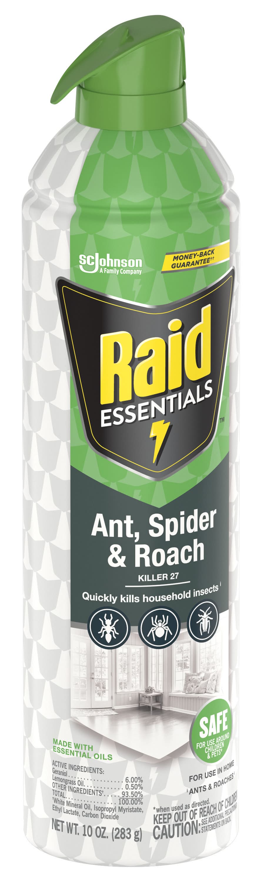 Raid Essentials Ant Spider & Roach Insect Killer Delivery Near Me | Order Online