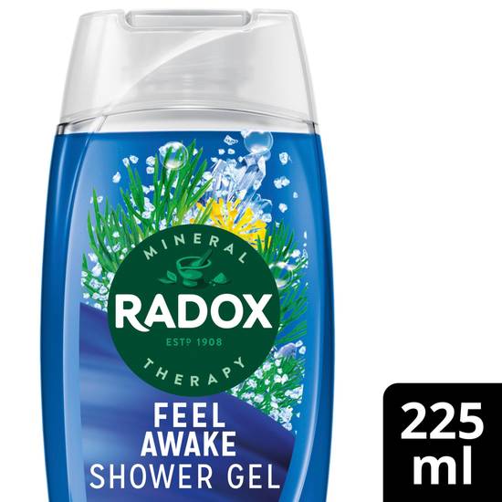 Radox for Men Feel Awake with Fennel & Sea Minerals 2in1 Shower & Shampoo 250ml