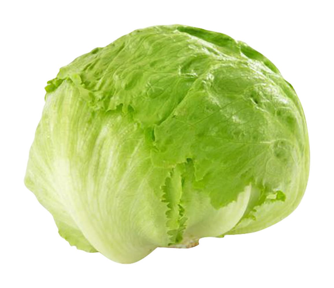 Iceberg Lettuce