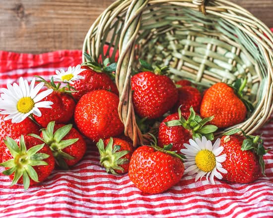 FresArte (San Jose, CR)