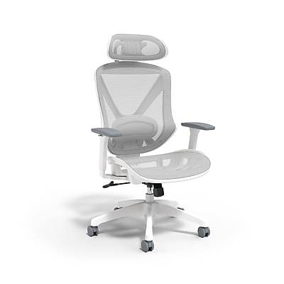 Staples Dexley Ergonomic Mesh Swivel Task Chair (gray)